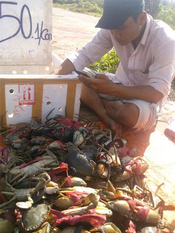 Thực hư tin đồn  cua Trung Quốc lén thả sang VN cho dân bắt