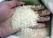 Thận trọng với hóa chất tạo hương cho gạo