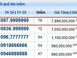 Sim điện thoại thất quý 9 giá 8 tỷ đồng xuất hiện tại Việt Nam