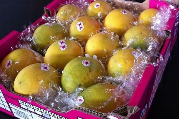 Australia Khay xoài 12 quả giá hơn 1 tỷ đồng