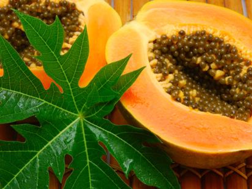 Các loại thực phẩm cực tốt cho thính lực