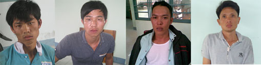 Đạo chích sa lưới