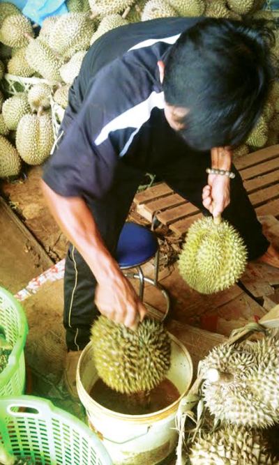 Truy tìm hóa chất cực độc giúp trái cây một tháng vẫn  tươi