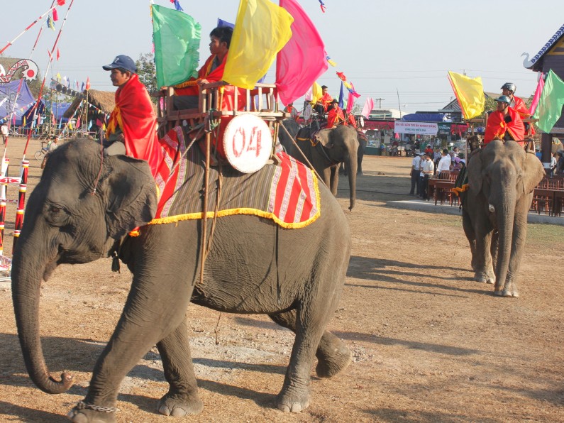 Liên kết lỏng lẻo, đầu tư dàn trải