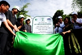 Quỹ 1 triệu cây xanh cho Việt Nam trồng cây xanh tại đồi Độc Lập - Điện Biên Phủ