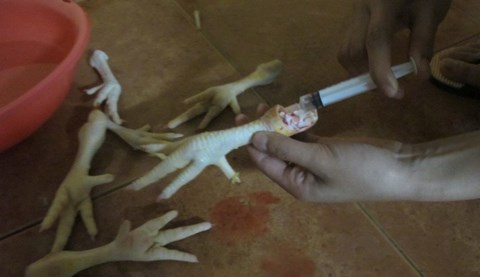 Bị đầu độc , dân nhậu bỏ món chân gà