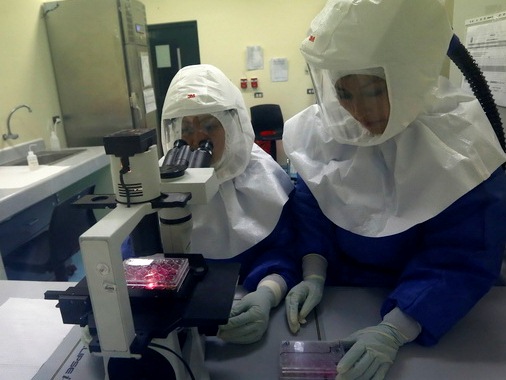 WHO thông qua sử dụng thuốc thử nghiệm chống Ebola