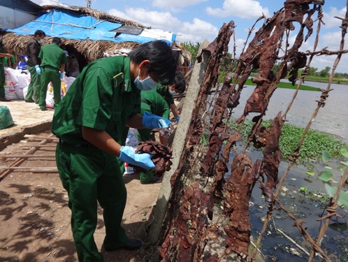 Biến heo thối thành khô bò