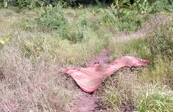 Phát hiện một xác chết tại khu rẫy hoang