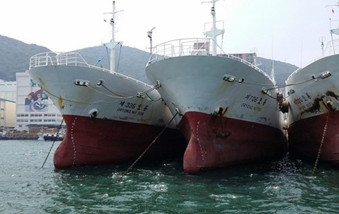 Mẫu tàu mà các doanh nghiệp đề xuất nhập từ Hàn Quốc