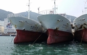 Đại gia muốn nhập tàu cũ ngàn tỷ dọa bỏ sang Indonesia