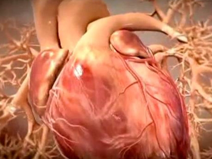 Trầm cảm ở phụ nữ trẻ dẫn đến nhồi máu cơ tim