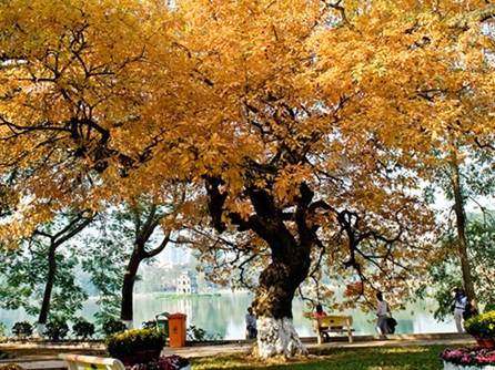 Đồng dao mùa thu