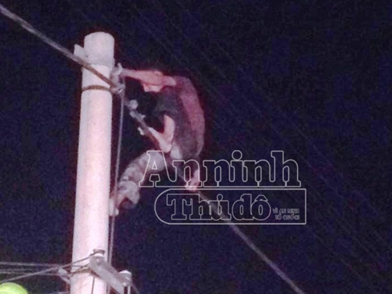 Ngáo đá, nam thanh niên leo cột điện la hét