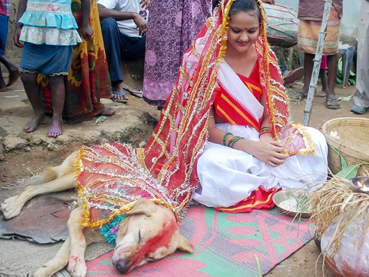 Thiếu nữ xinh đẹp cưới chó giải đen