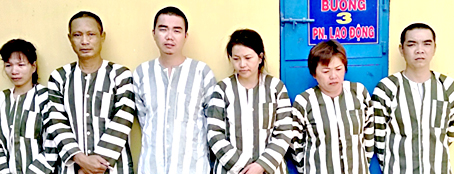 Cả gia đình vướng vòng lao lý