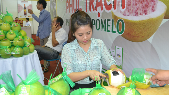 Mất bò chưa lo làm chuồng