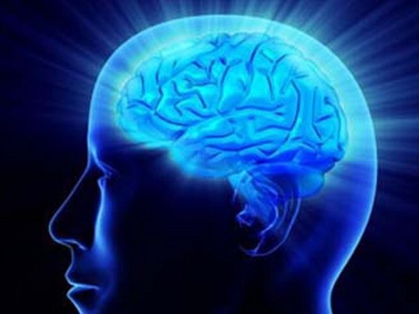 Gen mang yếu tố quyết định khả năng ghi nhớ của con người