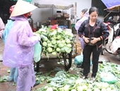 Hà Nội Mượn cớ mưa bão, rau xanh tăng giá mạnh