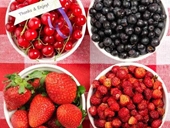 Top 10 loại trái cây hàng đầu chống ung thư