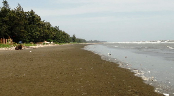 Cần Giờ - địa điểm du lịch Ngoại thành không thể bỏ qua