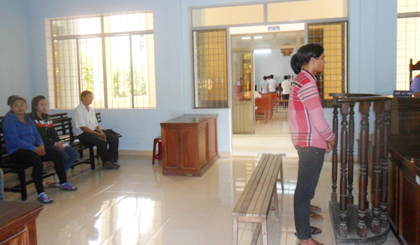 Trộm mai vàng, lãnh án tù