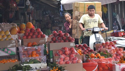 Táo, lê để hàng tháng không hỏng Ăn xong, chờ  phân tích