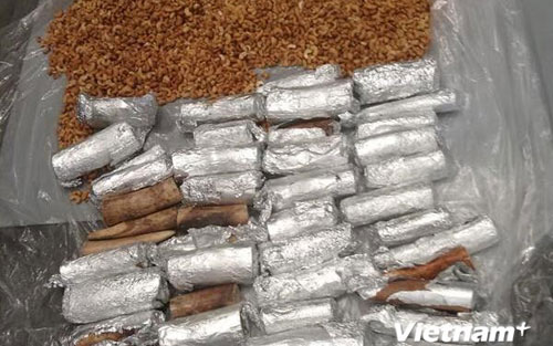 Phát hiện 40kg ngà voi giấu trong thùng hạt điều