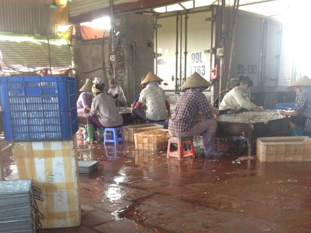 Chợ nội tạng thối lớn nhất miền Bắc Ngửi mùi đã phát nôn