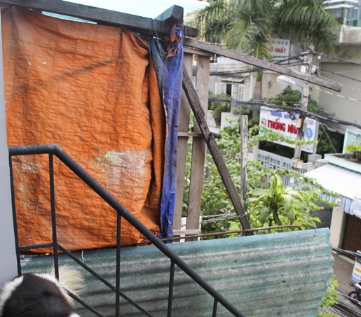 Quá khổ vì xưởng chế biến gỗ trong khu dân cư