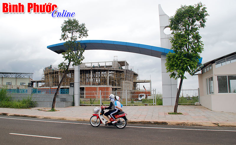 Một viên chức ở Trung tâm Văn hóa tỉnh bị tố sử dụng chứng chỉ giả