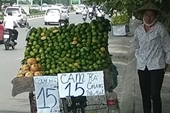 Bát nháo hoa quả Trung Quốc đội lốt hàng Việt