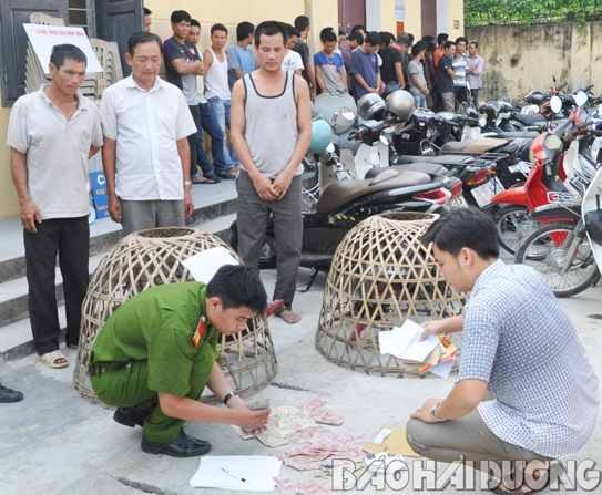 Triệt phá sới bạc lớn dưới hình thức đá gà