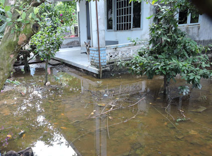 San mặt bằng, lấp mương, gây ngập úng cục bộ