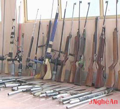 Thu hồi hàng trăm vũ khí nóng