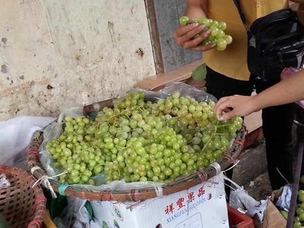 Giải mã nguồn gốc nho xanh giá rẻ bán tràn lan ở Hà Nội