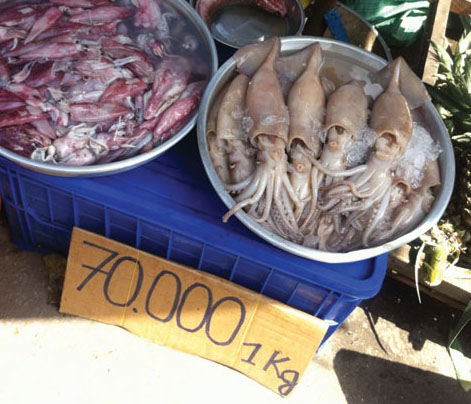 Mực tươi dai như dây thun