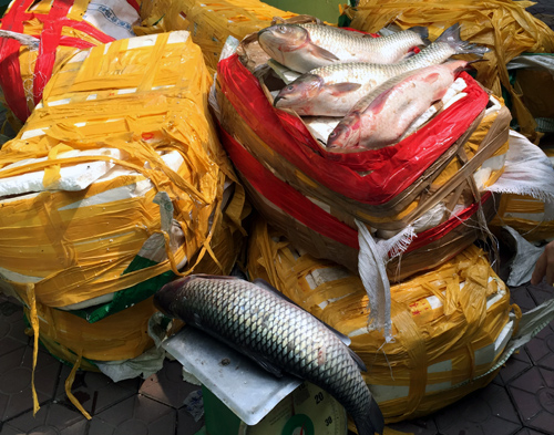 Cá quả, trắm giòn, nho xanh Đồ ăn Tàu bủa vây Hà Nội