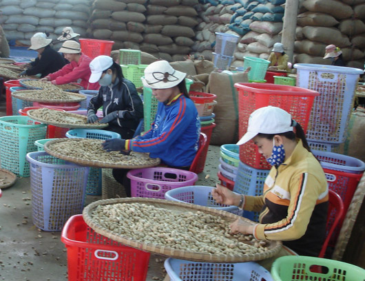 Kim ngạch xuất khẩu tăng trưởng ở mức cao