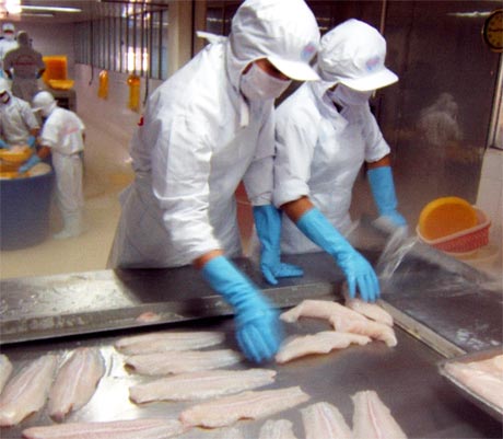 Xuất khẩu cá tra hướng tới sản phẩm giá trị gia tăng