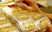 Giá vàng ngày 12 11 vàng SJC tăng 70 ngàn đồng lượng