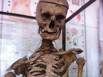 Hiệu trưởng tặng cả bộ xương của mình cho trường học