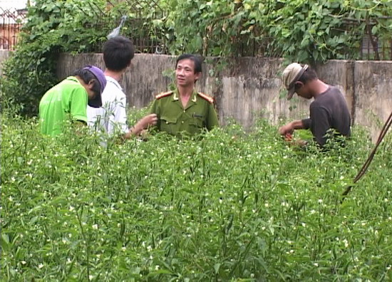 Cai nghiện ma túy Vướng mắc cần tháo gỡ