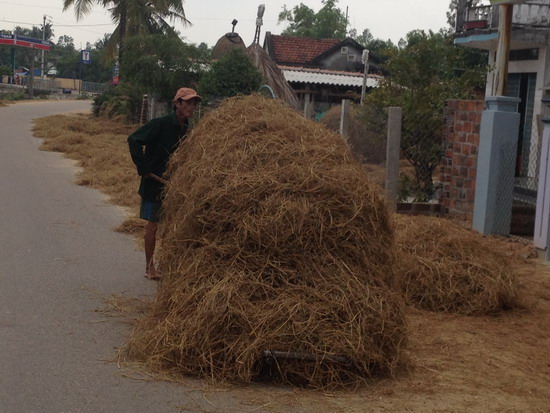 Tội cản trở giao thông đường bộ