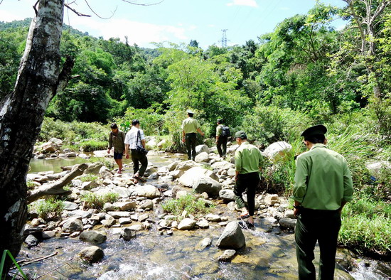 Giữ bình yên cho những cánh rừng giáp ranh