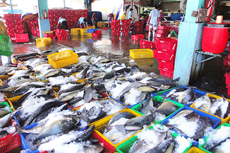 Sản lượng đánh bắt, nuôi trồng thủy sản tăng khá