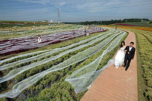  Chiếc váy cưới này dài 4,8 km và nặng đến 50 kg