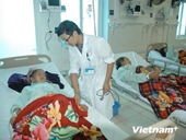 Ngộ độc nấm rừng, 19 người ở Lai Châu phải nhập viện cấp cứu