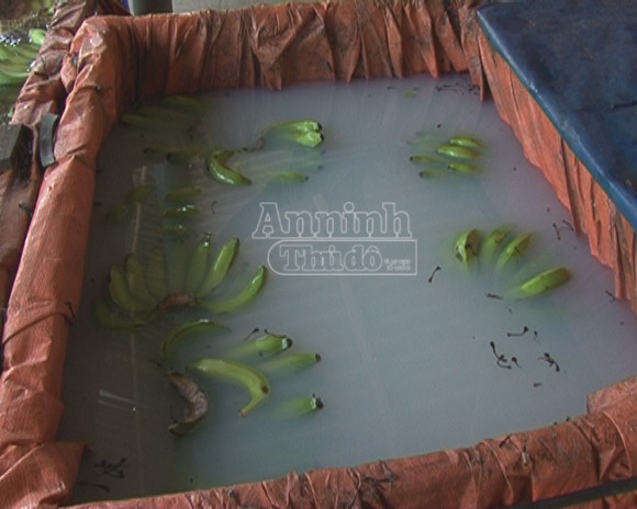 Cơ sở chục năm lén lút bán chuối ngâm hóa chất bị xử lý thế nào