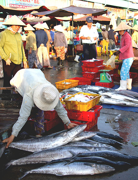 Sản lượng cá giảm